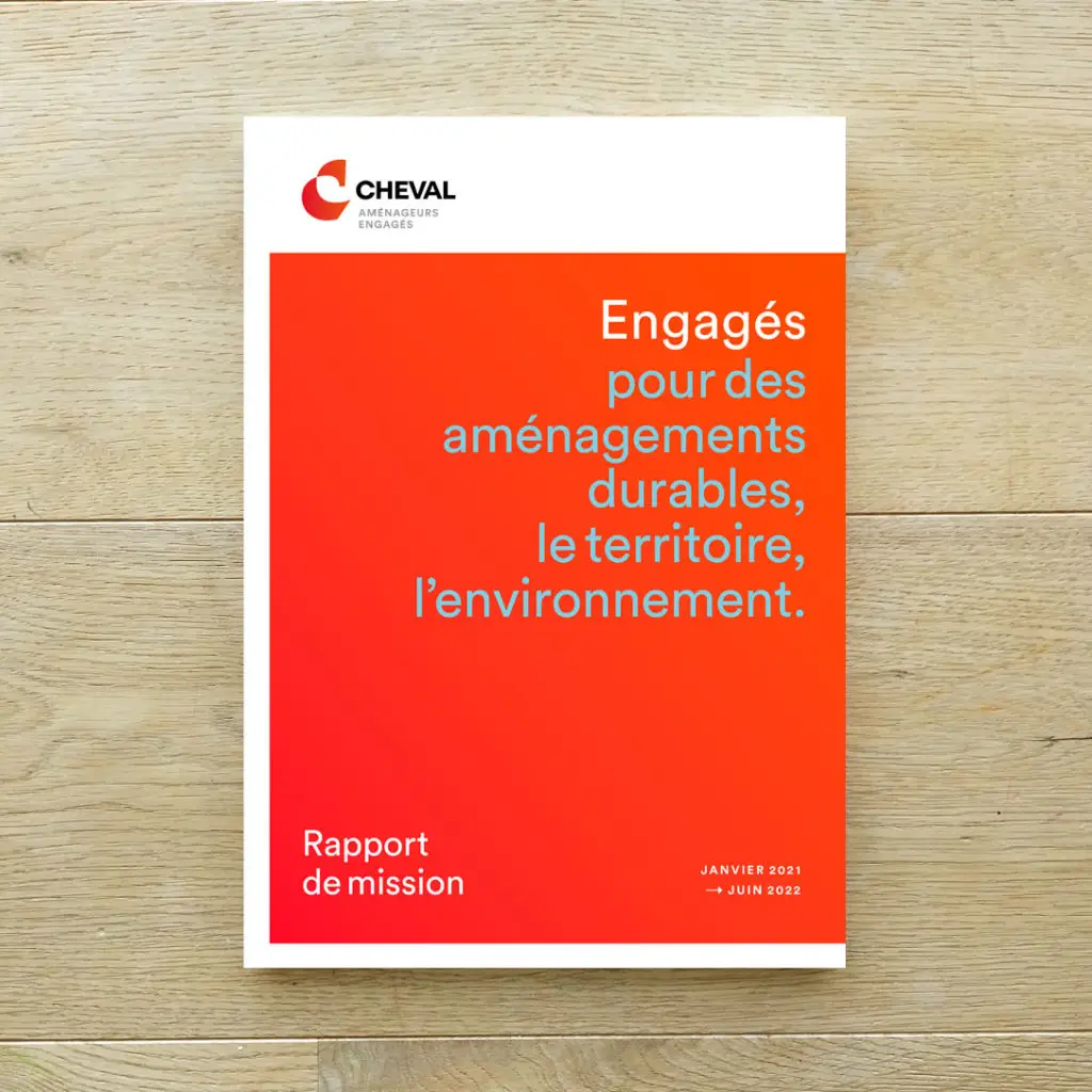 Rapport de mission - Graphiste Lyon et région Auvergne-Rhône-Alpes