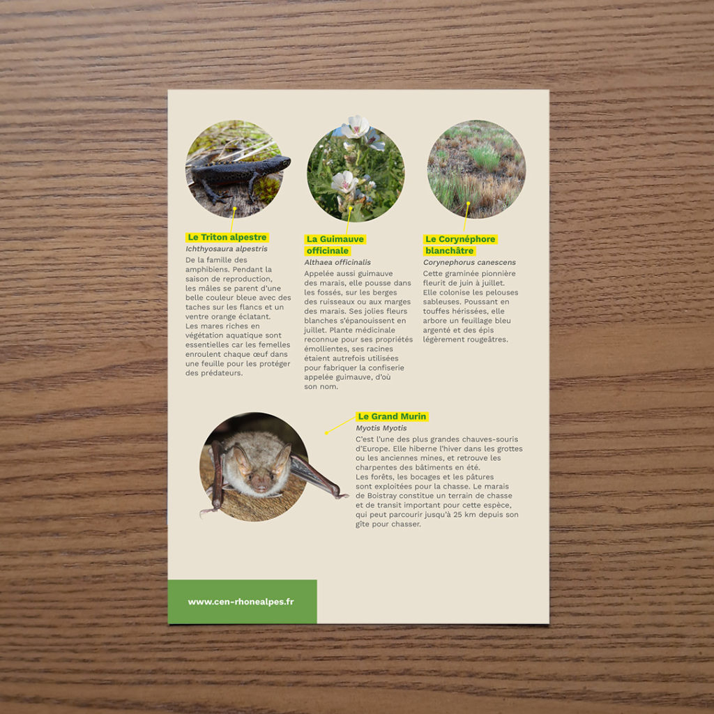 Illustrations et connaissance de la nature