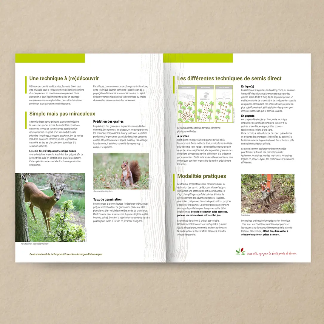 CNPF-brochure_foret_epicea