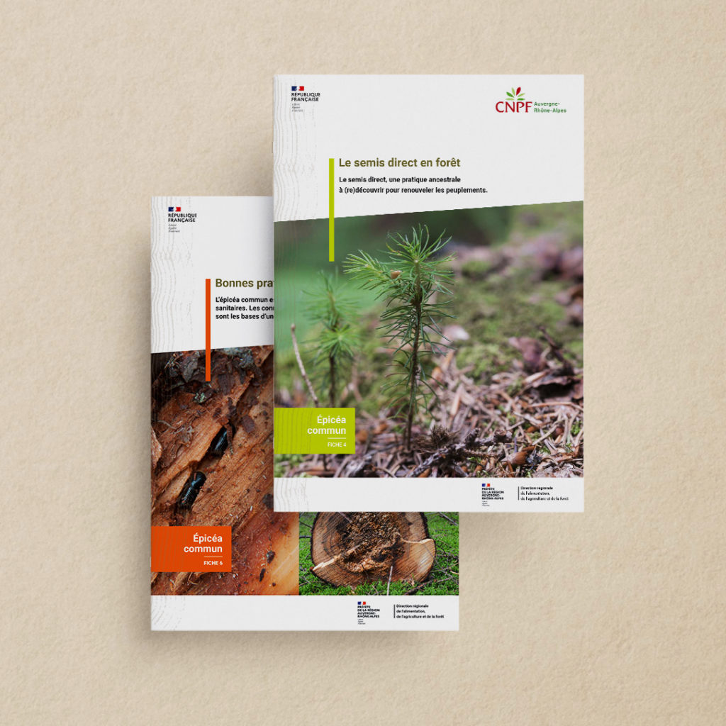 Graphiste mise en page fiches techniques