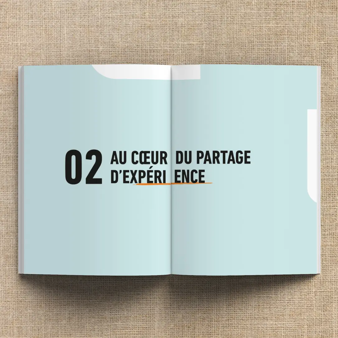 F3E-rapport_activite-agence