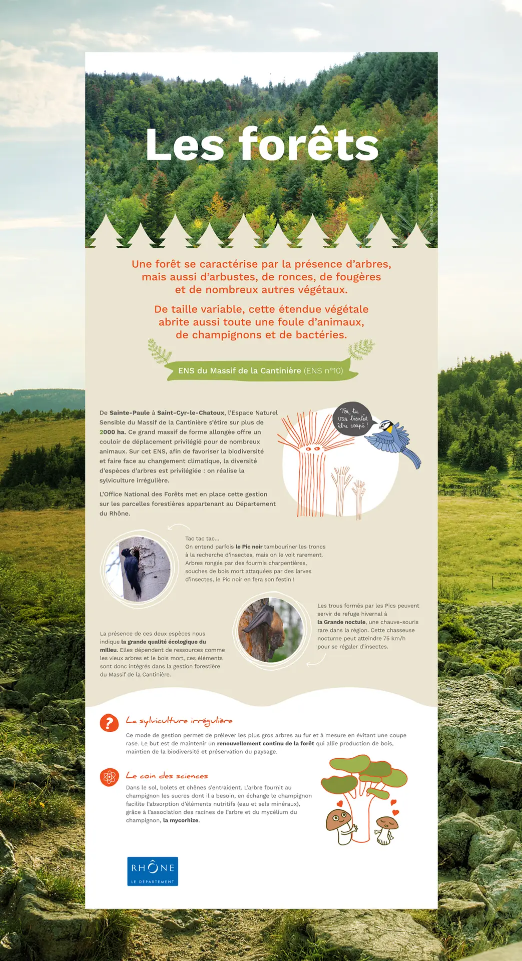 cpie-pilat-creation-graphique-exposition-panneaux