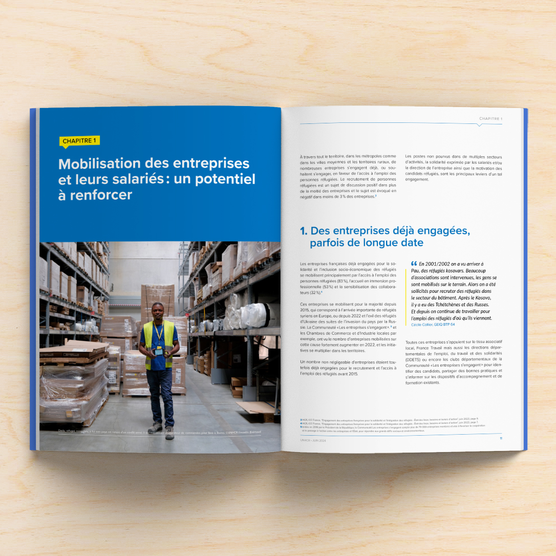 pages-interieures-rapport-de-synthese