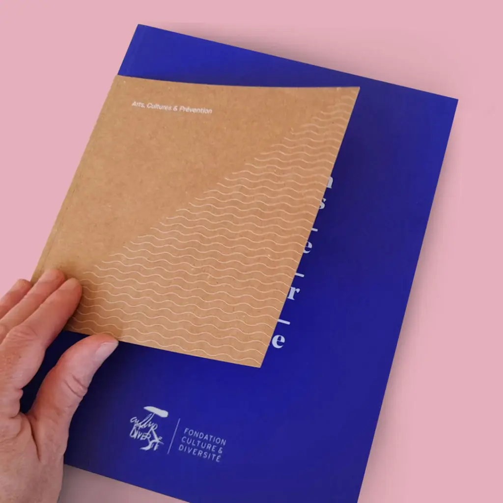 rapport annuel mise en page et création graphiste