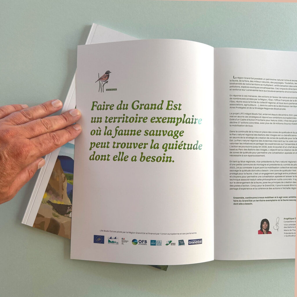 Rapport Technique conception graphique