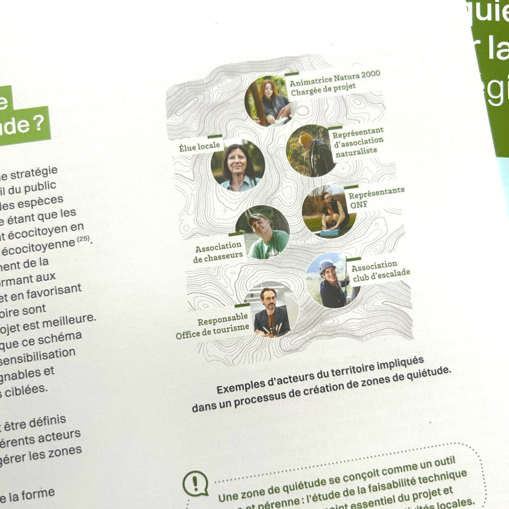 réalisation schémas graphisme