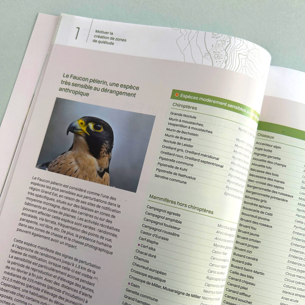 Fiches espèces sensibles PNR graphisme