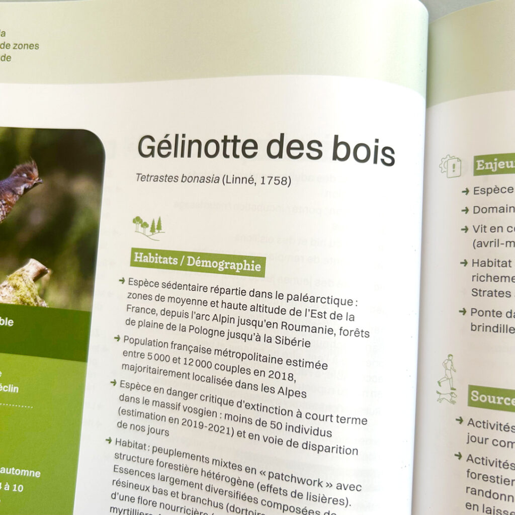 Avifaune document graphistes