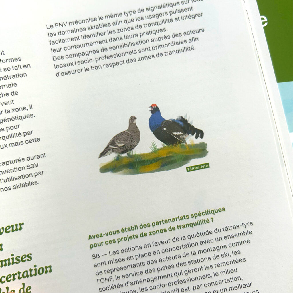 Illustratrice faune et paysages