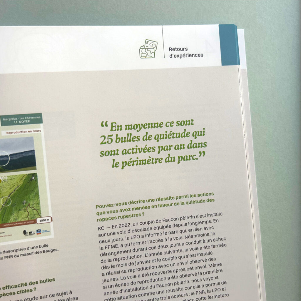 Document retours d'expérience création