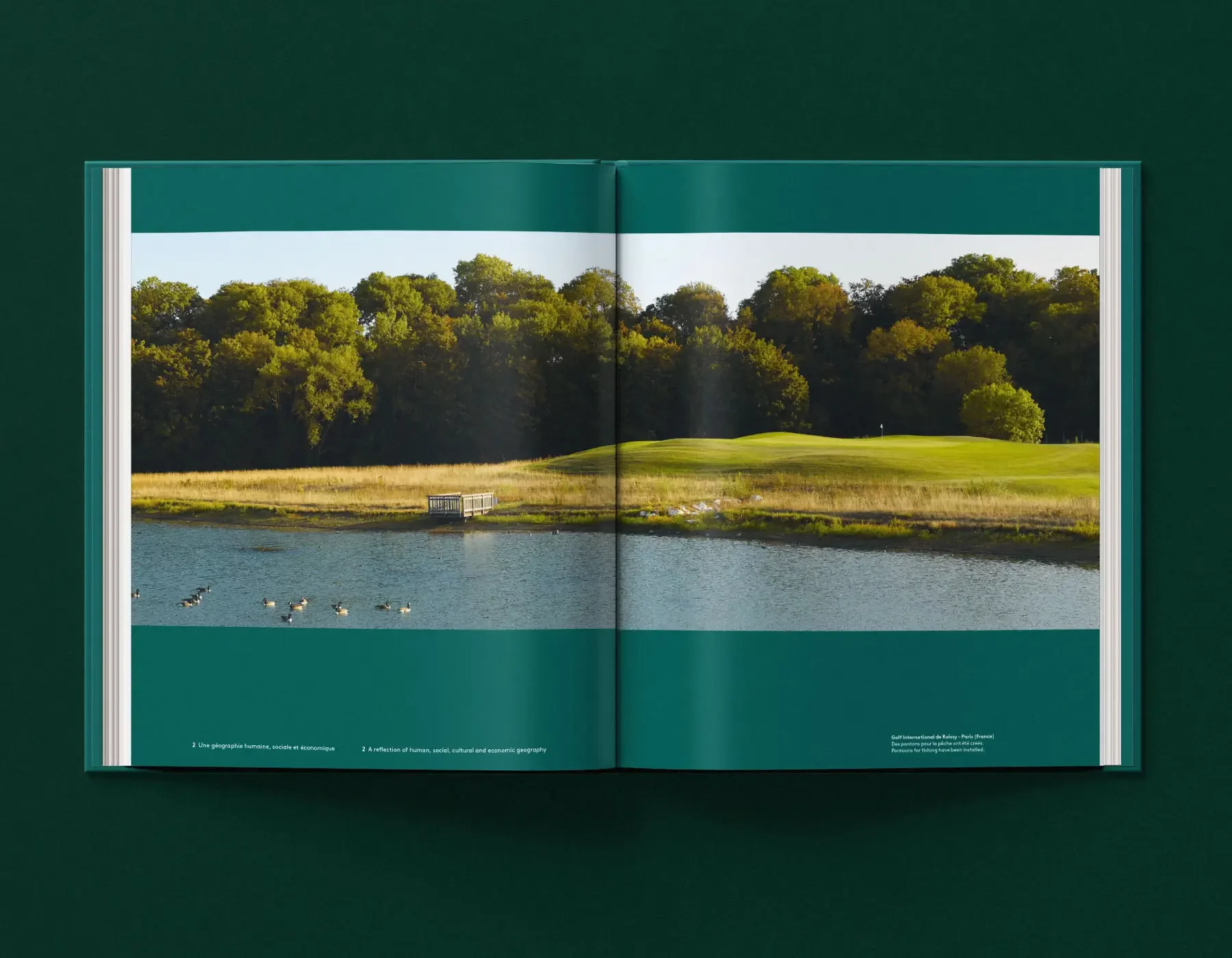 12-livre-de-photos-ecologie